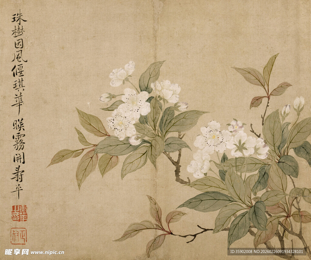 恽寿平水墨花卉图