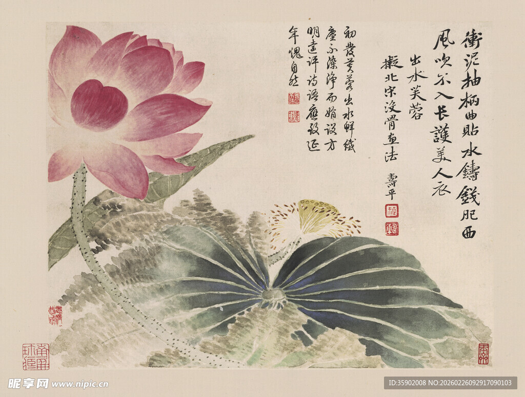 恽寿平水墨荷花图