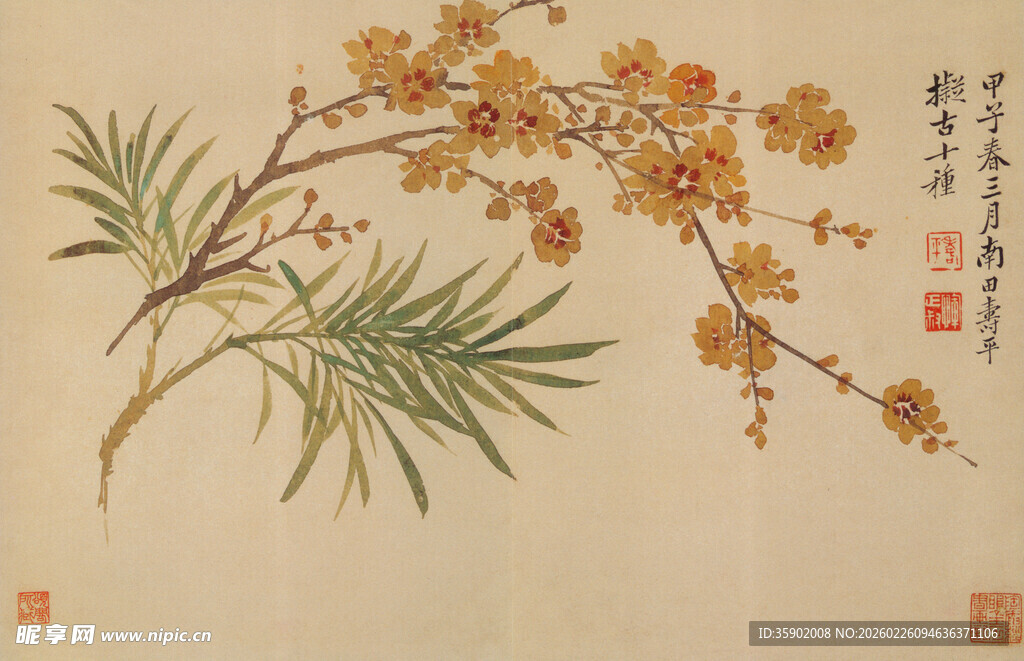 恽寿平水墨花卉图