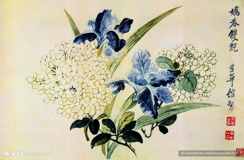 恽寿平蓝白花卉国画