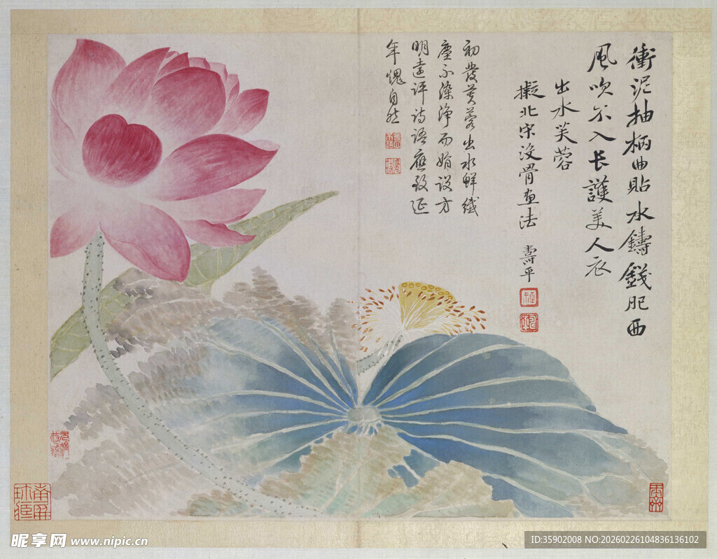 恽寿平水墨荷花国画艺术作品