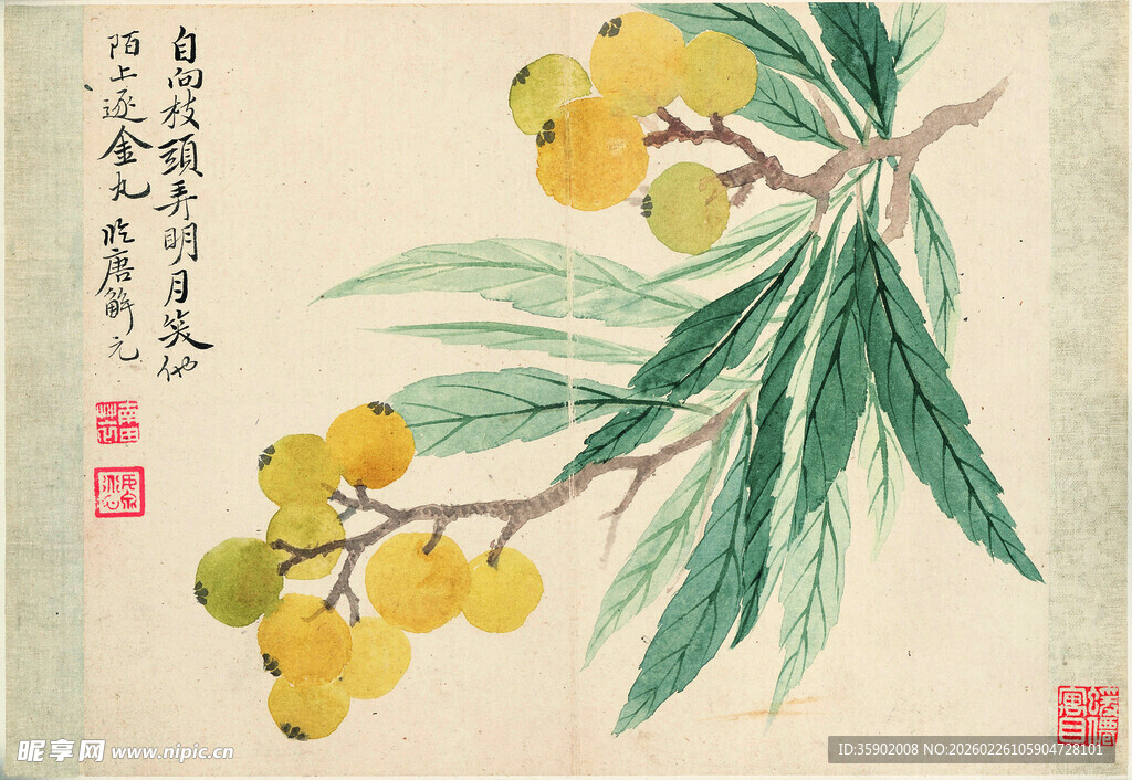 恽寿平国画枇杷图