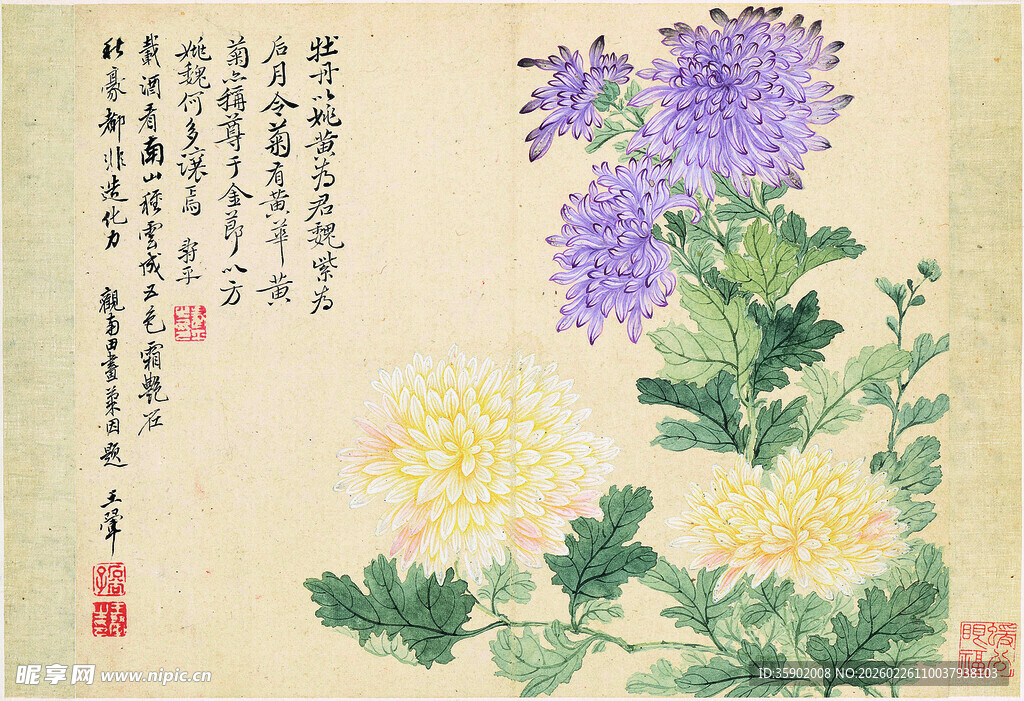 恽寿平国画菊花图典雅花卉景致
