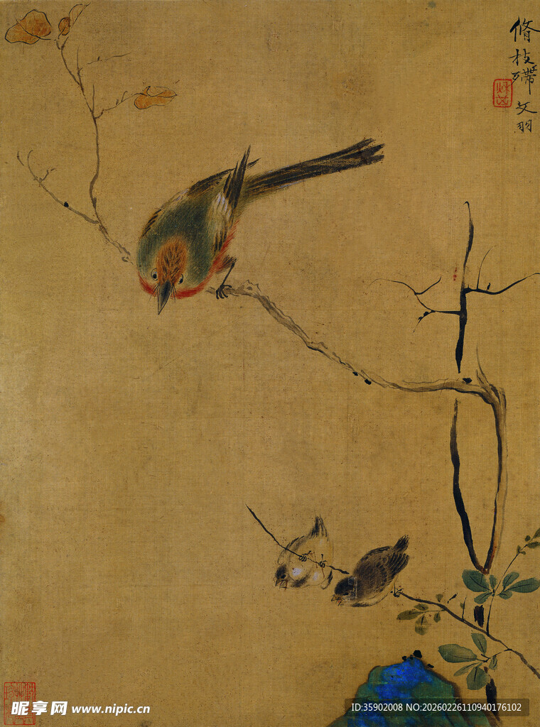 恽寿平古画中栖息枝头的鸟儿