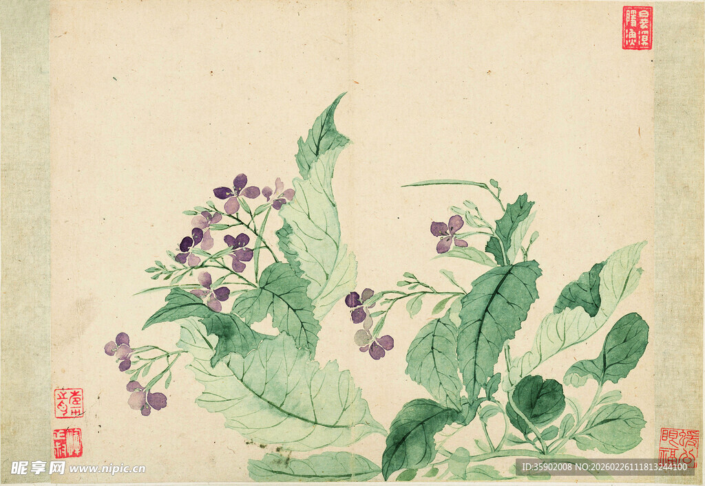 恽寿平水墨绘花卉图