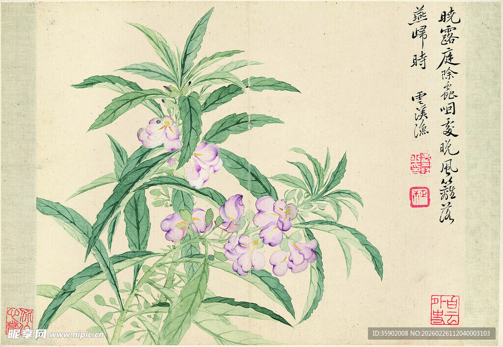 恽寿平水墨兰花图