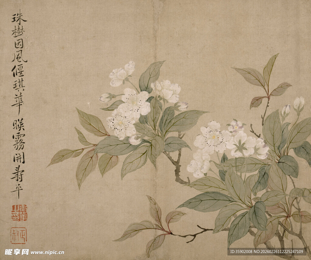 恽寿平水墨花卉图