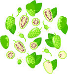 矢量卡通无缝图案与莫林达柠檬叶