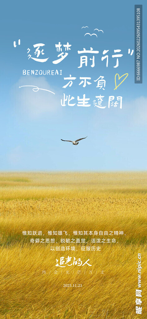 金色旷野飞鸟风景图