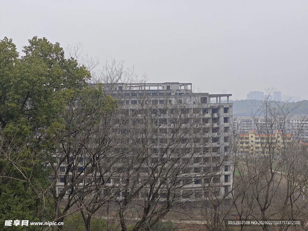 城市建筑群与周边树木景观