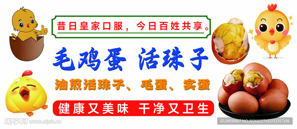 毛鸡蛋活珠子展示