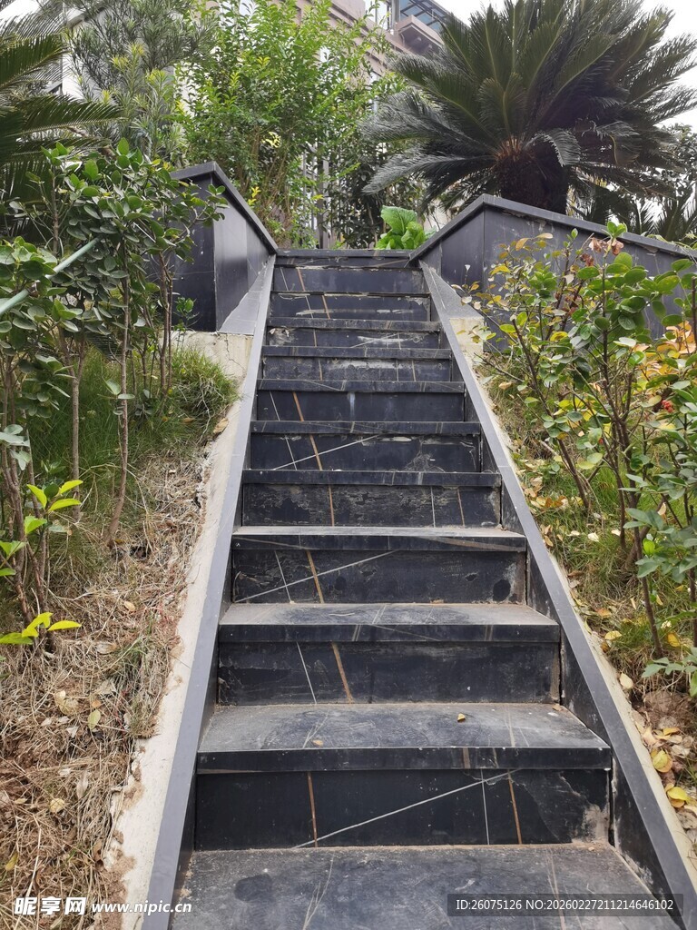 户外绿植环绕的石阶步道