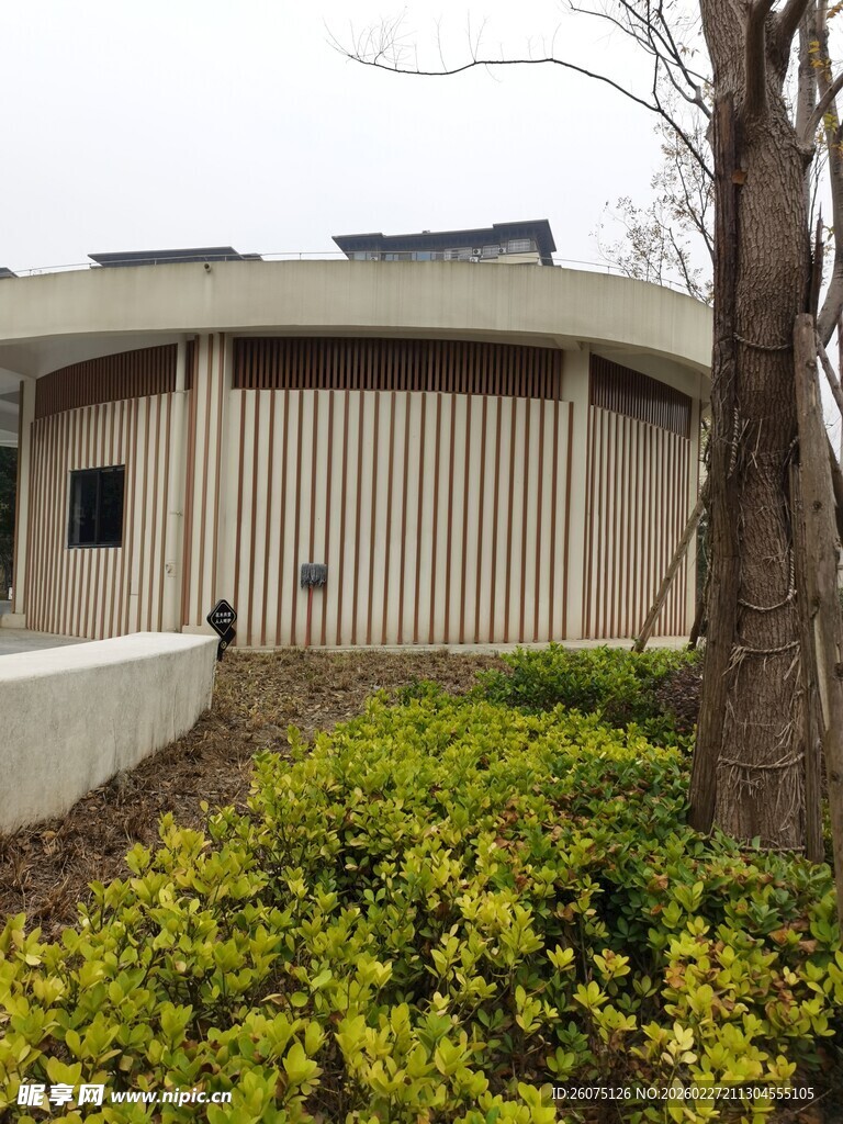 现代建筑旁的绿植景观