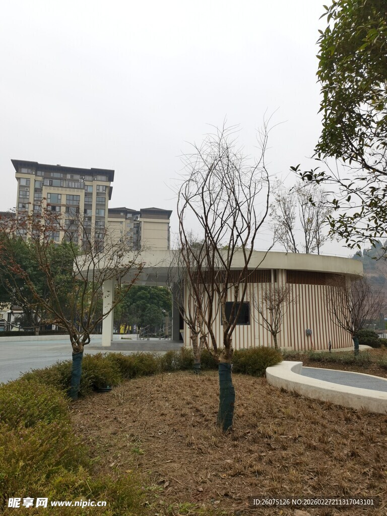 城市中静谧的建筑与绿植