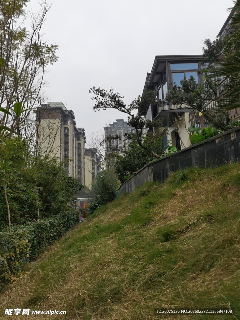 山坡上的建筑与绿植景观