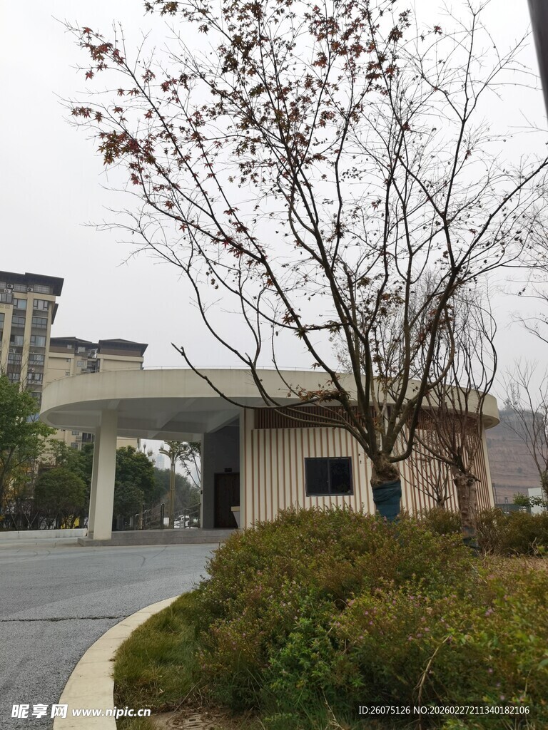 现代建筑旁的树木与景观