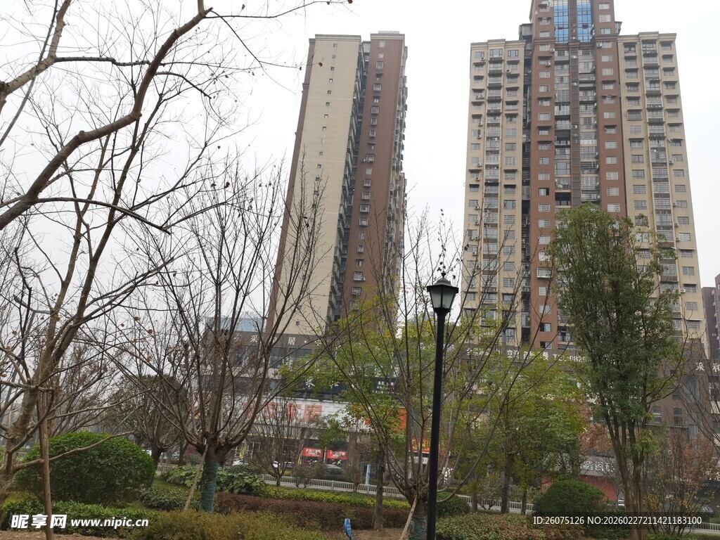 城市公园旁的高楼景观