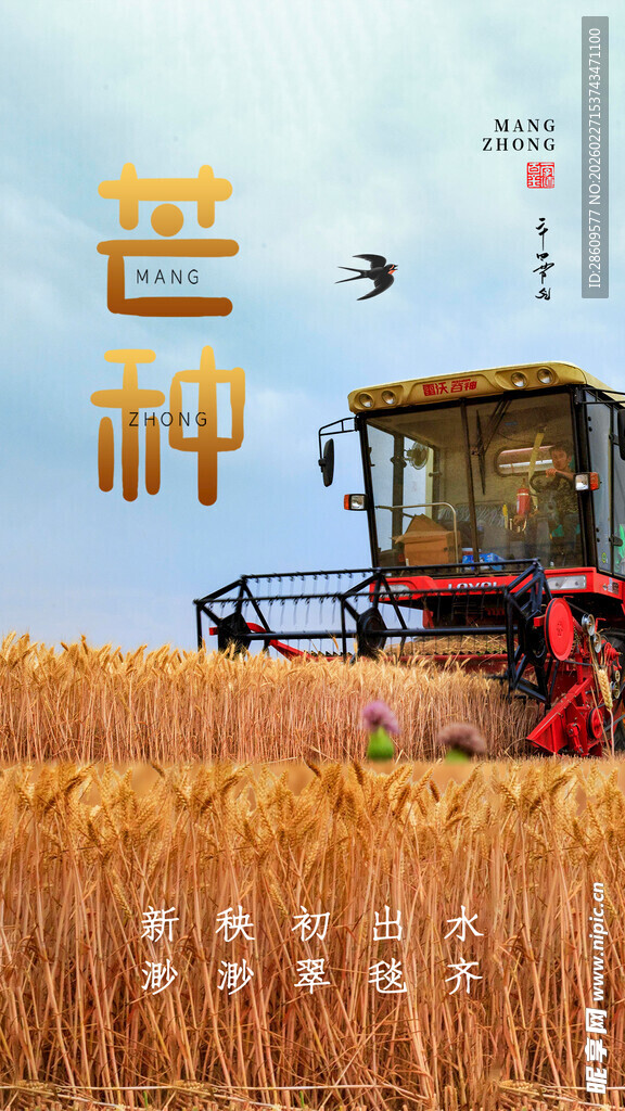 麦田中的金色收割机