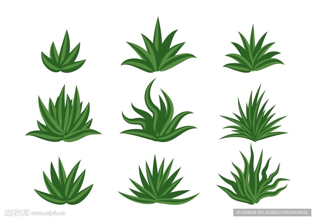 芦荟叶片素材
