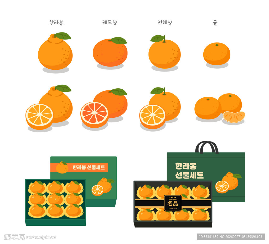 柑橘产品插画