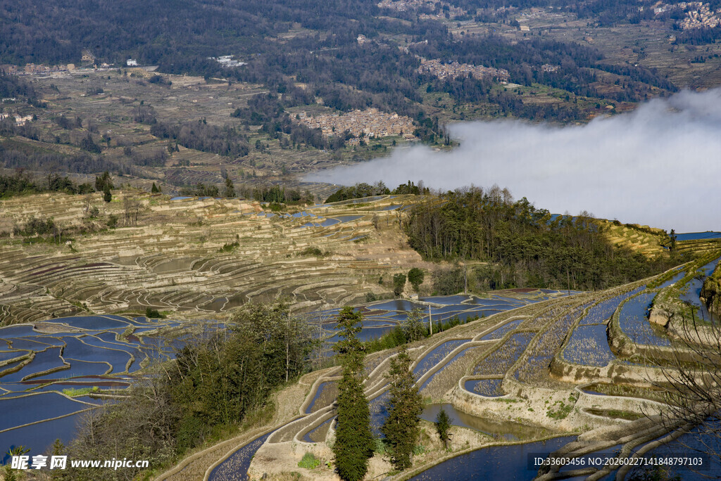 山间云雾缭绕的湿地景观