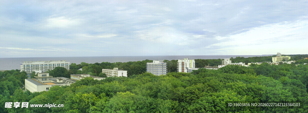 俯瞰葱郁山林景观