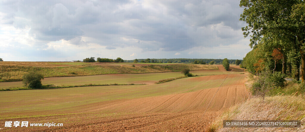 乡村田野风景图