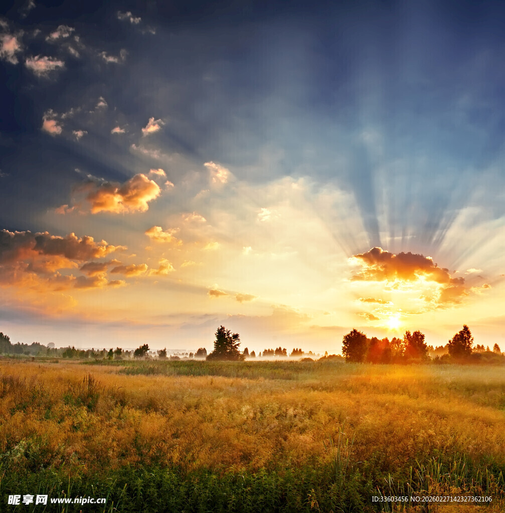 夕阳下的广袤田野美景