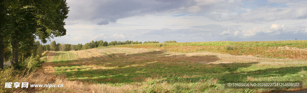 广袤田野风光