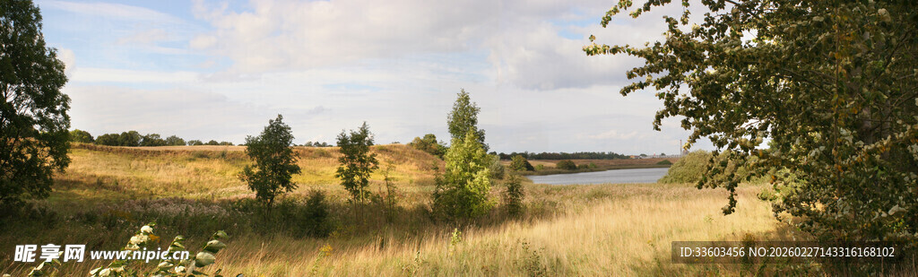 田野树林间的开阔风景
