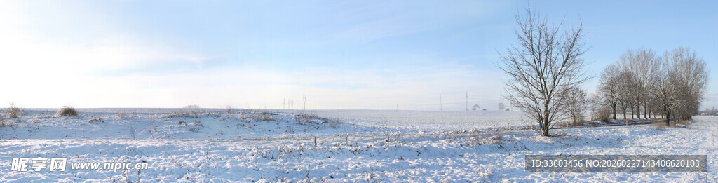 冬日旷野雪景