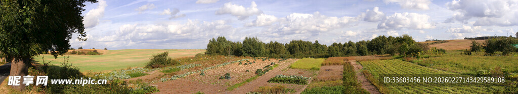 乡村田野风景图