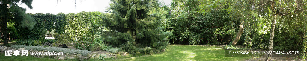 绿意盎然的户外自然景观
