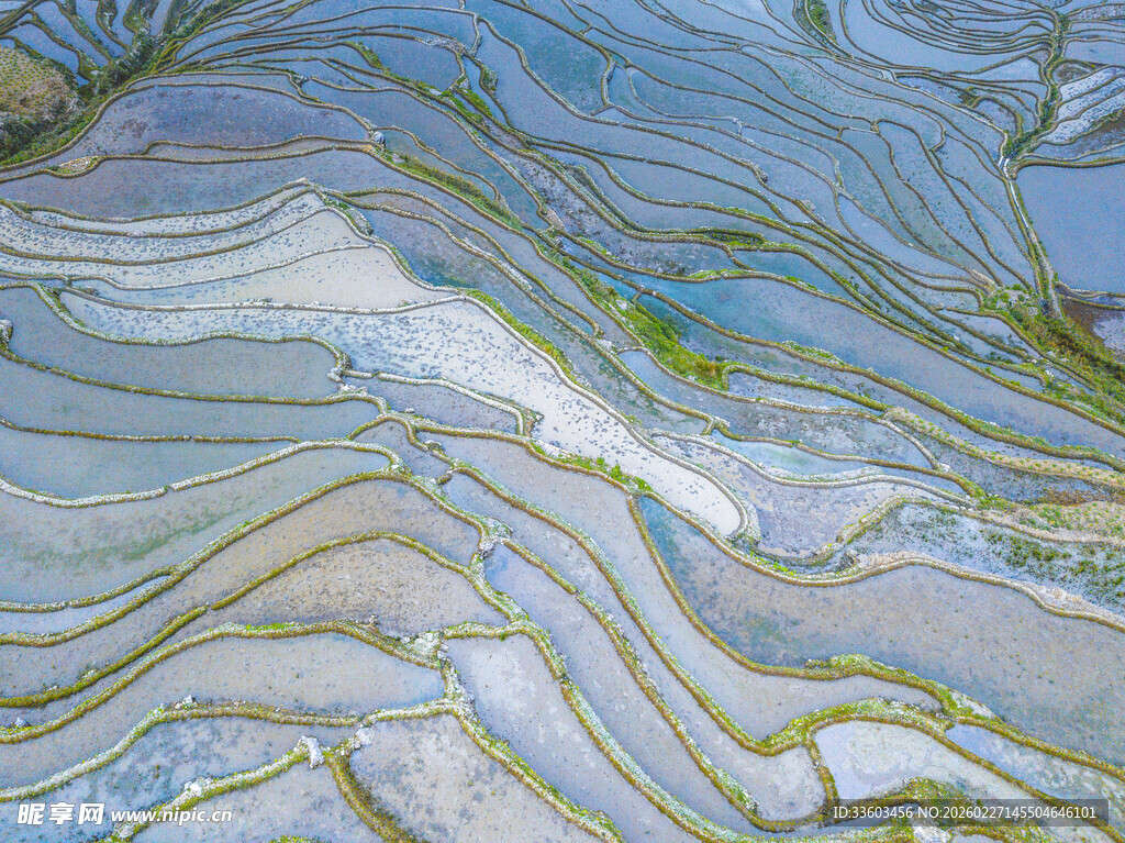 梦幻纹理的多彩抽象图案