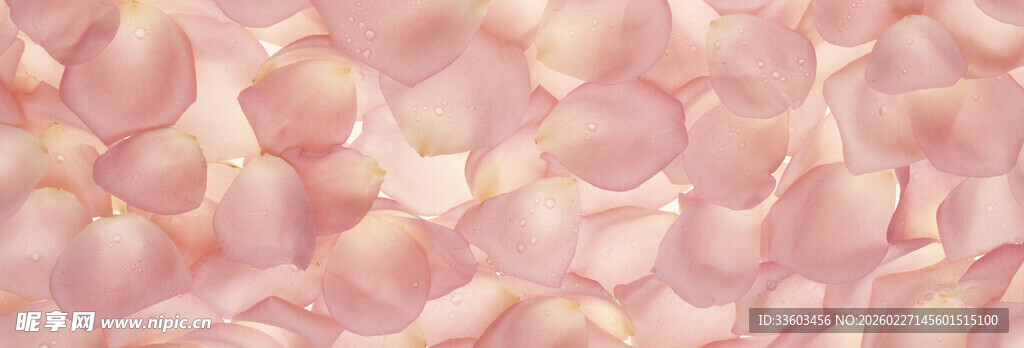 粉色花瓣纹理背景图案