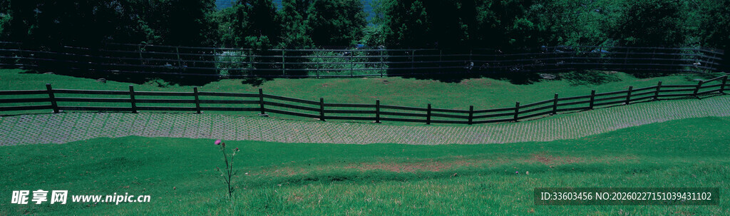 绿意盎然的高尔夫球场