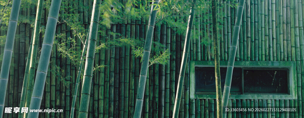 竹林中的静谧日式建筑