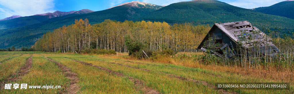 乡村田野中的古朴小屋