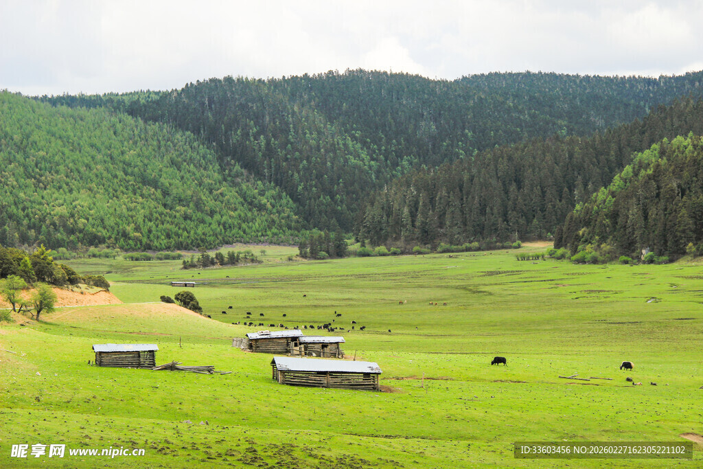 草原上的牧场景色