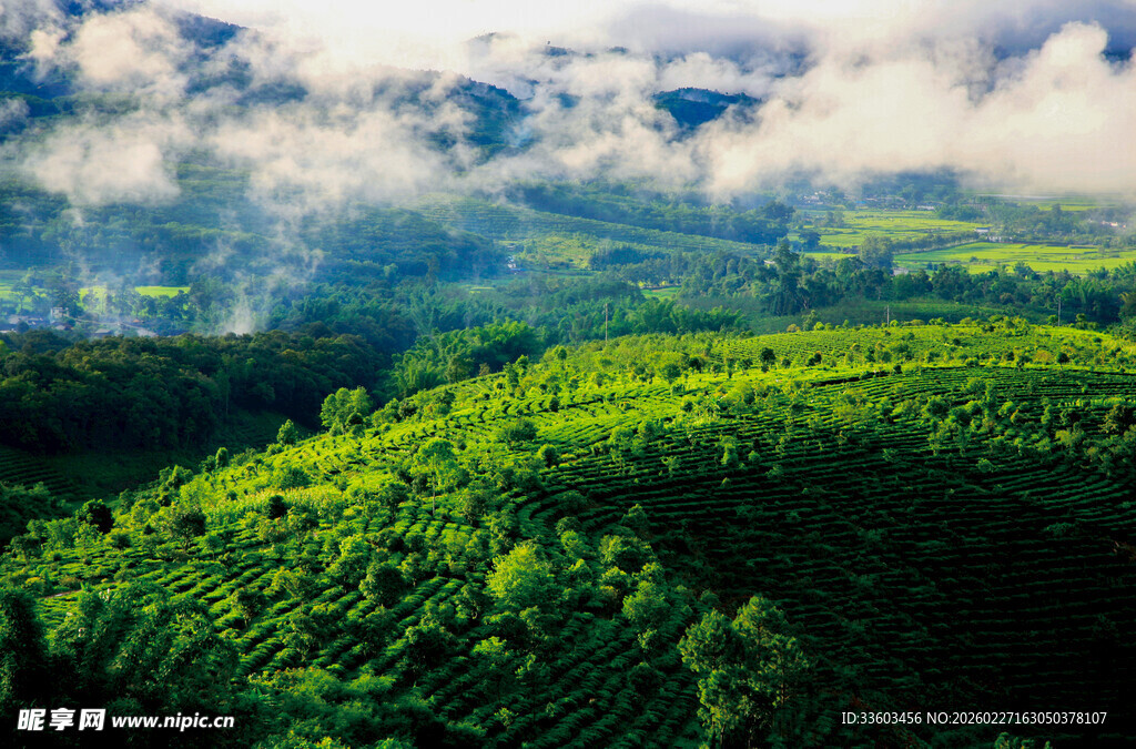 翠绿山峦云雾缭绕美景