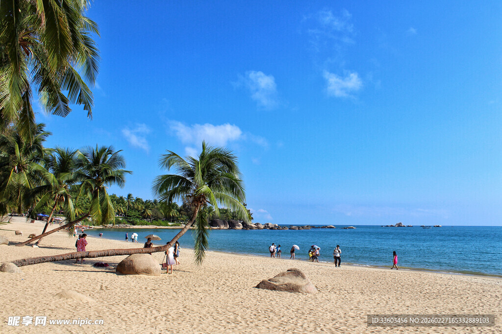 美丽海滨沙滩休闲场景