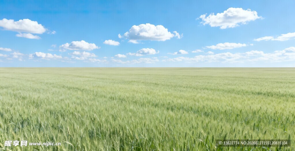 广袤绿野蓝天白云相伴