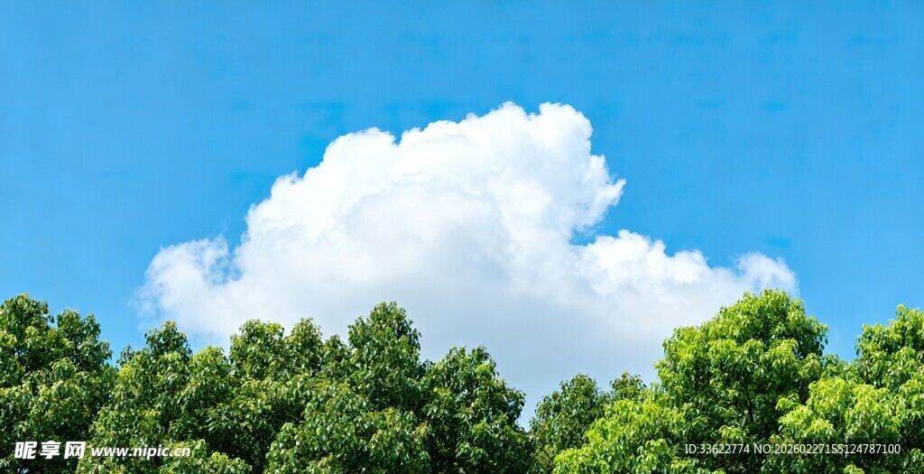 蓝天绿树间的白云