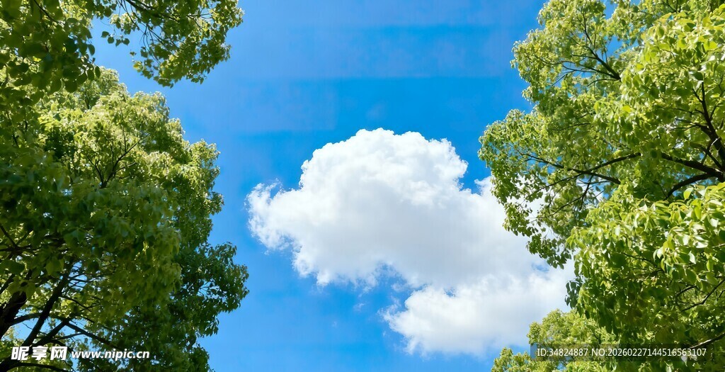 绿树间的蓝天白云美景