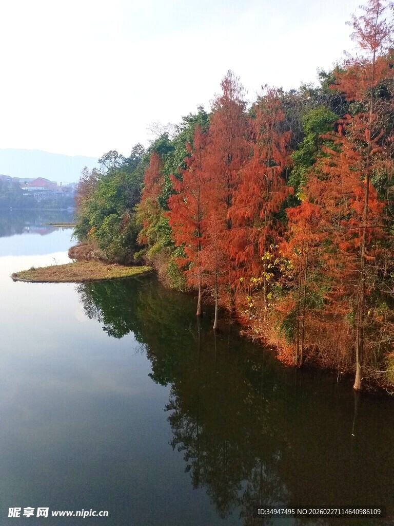 湖畔秋色红叶映碧水