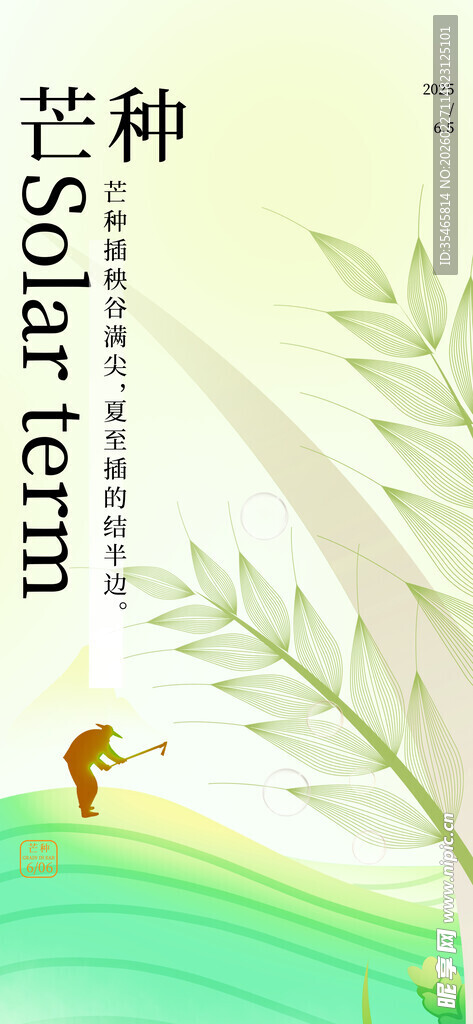 芒种时节的清新田园画面