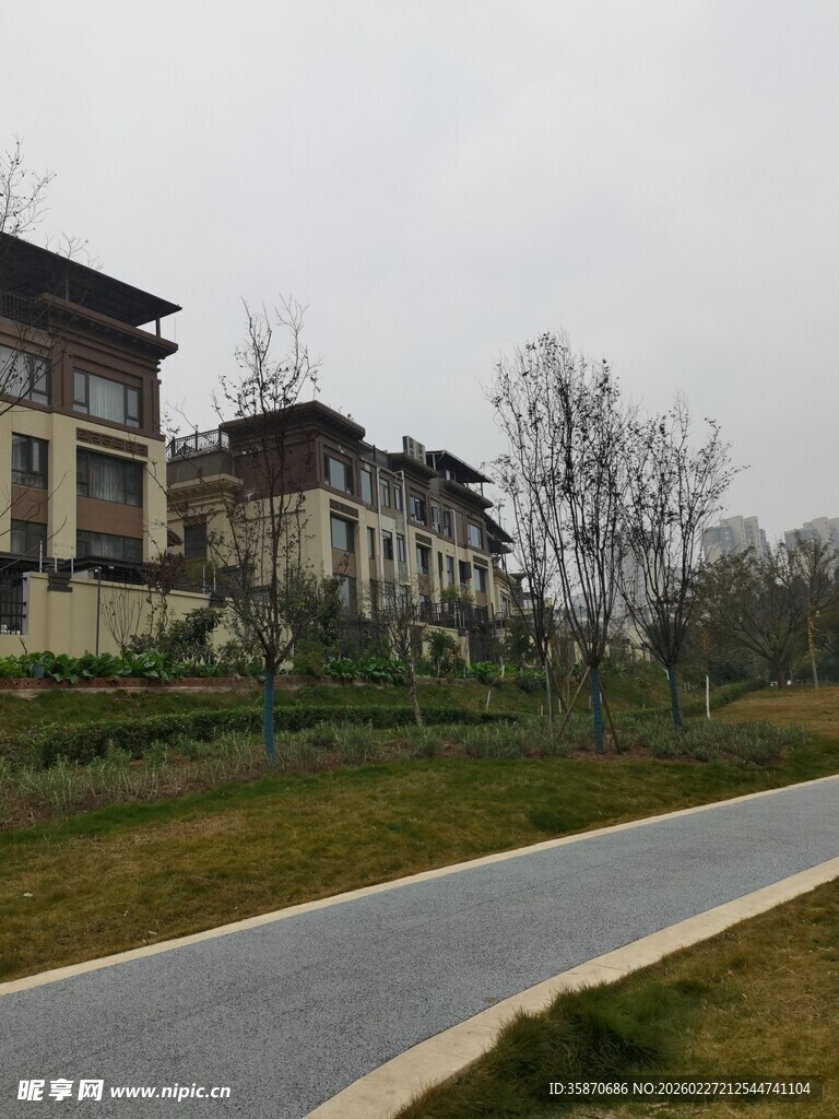 宁静路旁的雅致别墅群