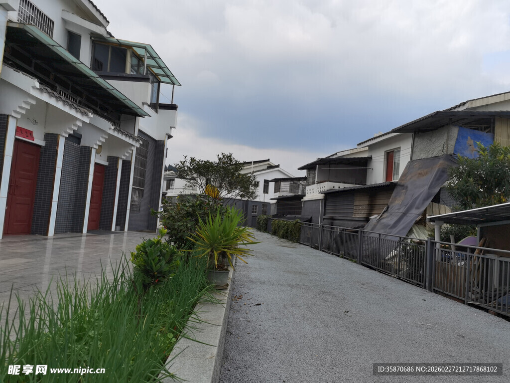 宁静小巷旁的现代民居