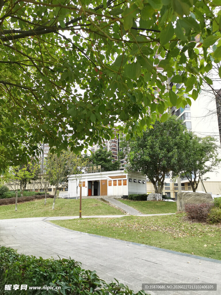 绿树环绕的宁静庭院