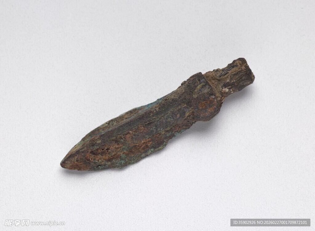 古老形状独特的褐色根茎